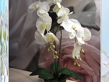 Имитация орхидеи