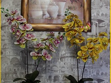 Орхидея фаленопсис (имитация)