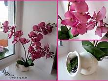 Имитация орхидеи Премиум