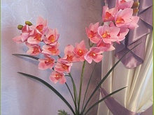 Орхидея цимбидиум розовая