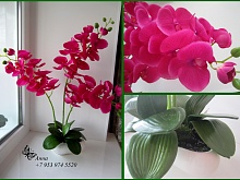 Имитация орхидеи Фуксия