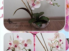 Имитация орхидеи фаленопсис