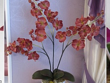Имитация орхидеи бордо