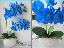 Имитация голубой орхидеи