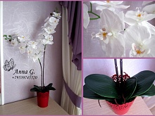 Имитация орхидеи фаленопсис (белая)